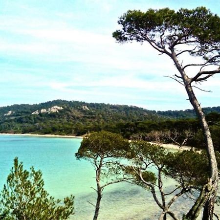 Ile De Porquerolles : T3 Climatise Vue Mer Экстерьер фото