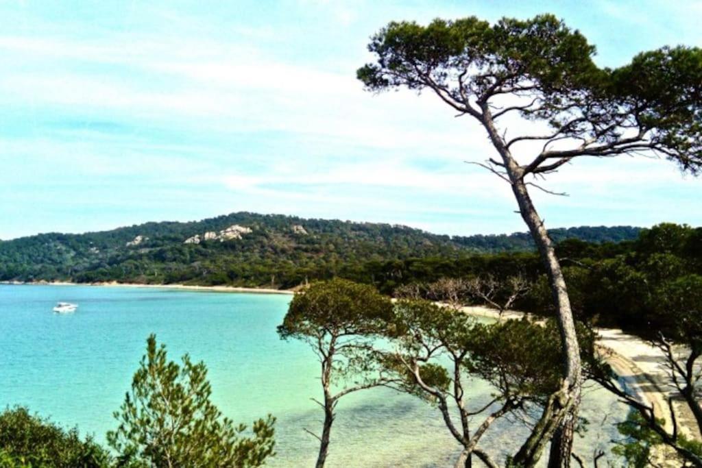 Ile De Porquerolles : T3 Climatise Vue Mer Экстерьер фото